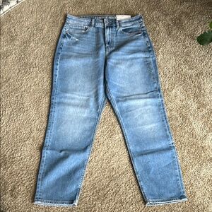 American Eagle Mom Jeans